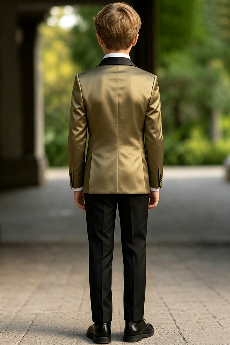Boys Gold Satin Tuxedo with Shawl Lapel 2-Piece Suit for Weddings