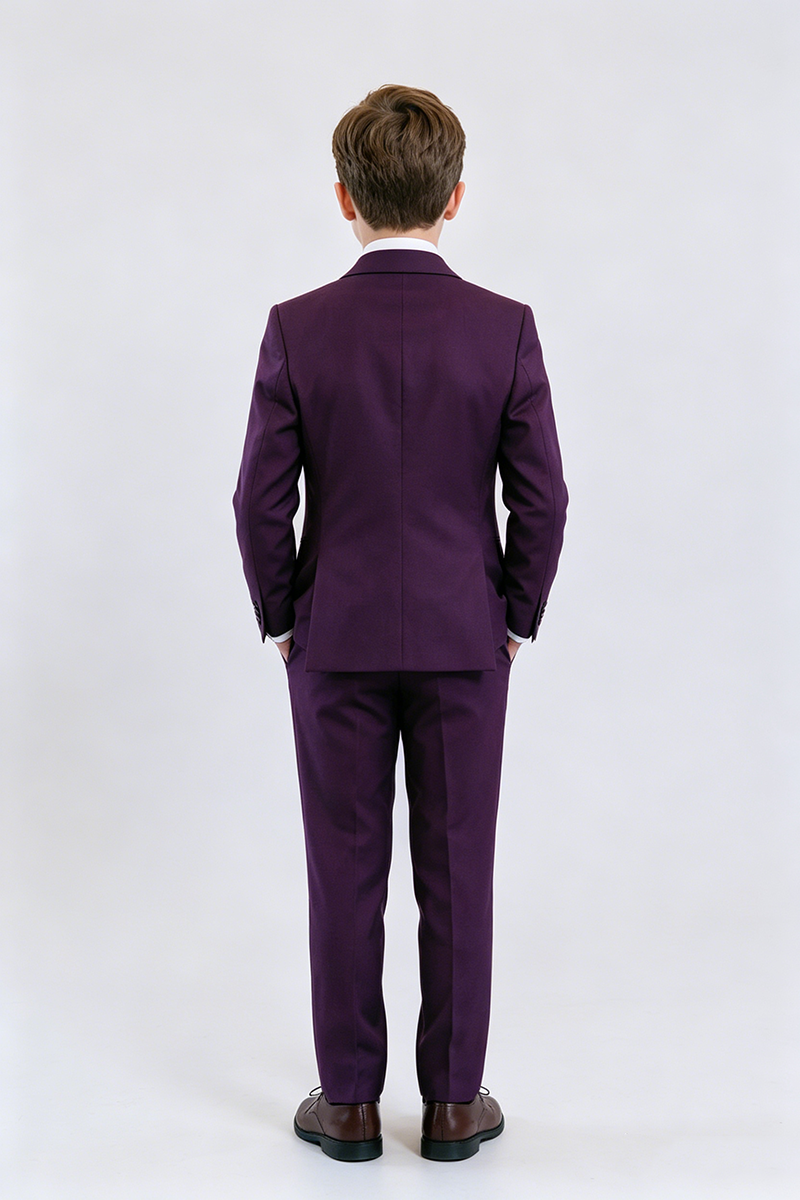 Boys Deep Purple Classic Notch Lapel 3-Piece Suit for Weddings