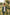Boys Sage Green 2-Piece Casual Suit with Notch Lapel