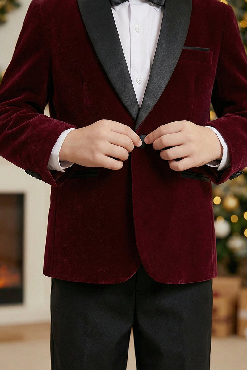 Boys Burgundy Shawl Collar Single-Breasted 2-Piece Suit