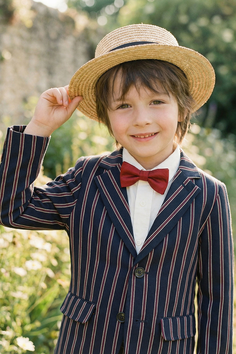 Boys Navy Blue With Brown Stripes Single-Breasted 2-Piece Suit