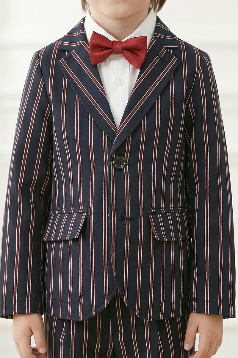 Boys Navy Blue With Brown Stripes Single-Breasted 2-Piece Suit