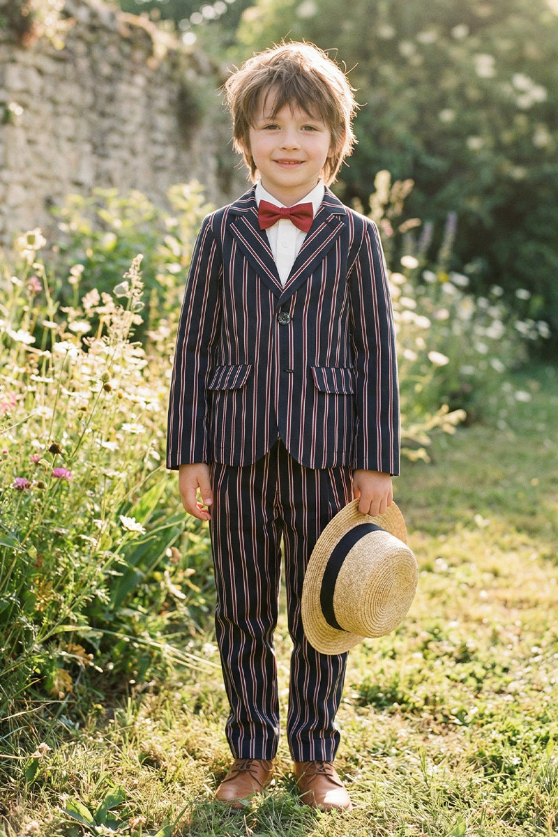 Boys Navy Blue With Brown Stripes Single-Breasted 2-Piece Suit