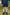 Boys Navy Blue Shorts