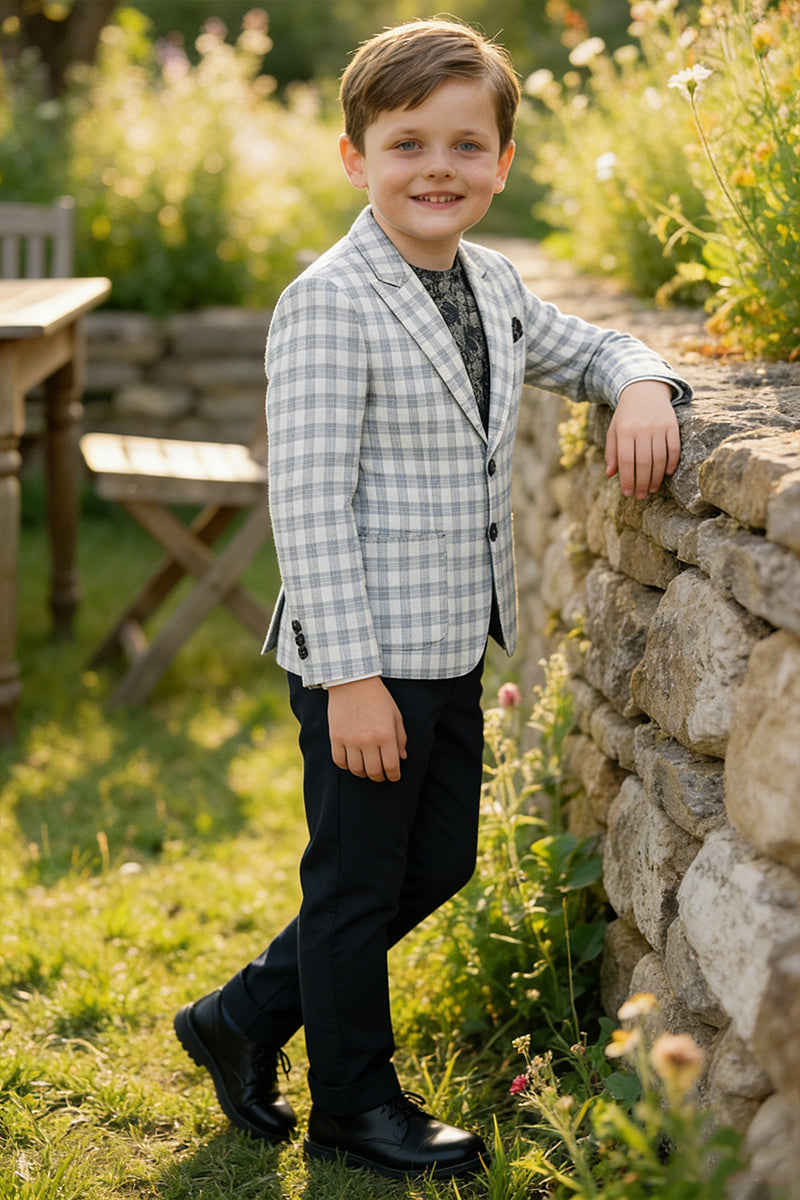 Boys Light Grey Plaid Single-breasted 2-piece Suits