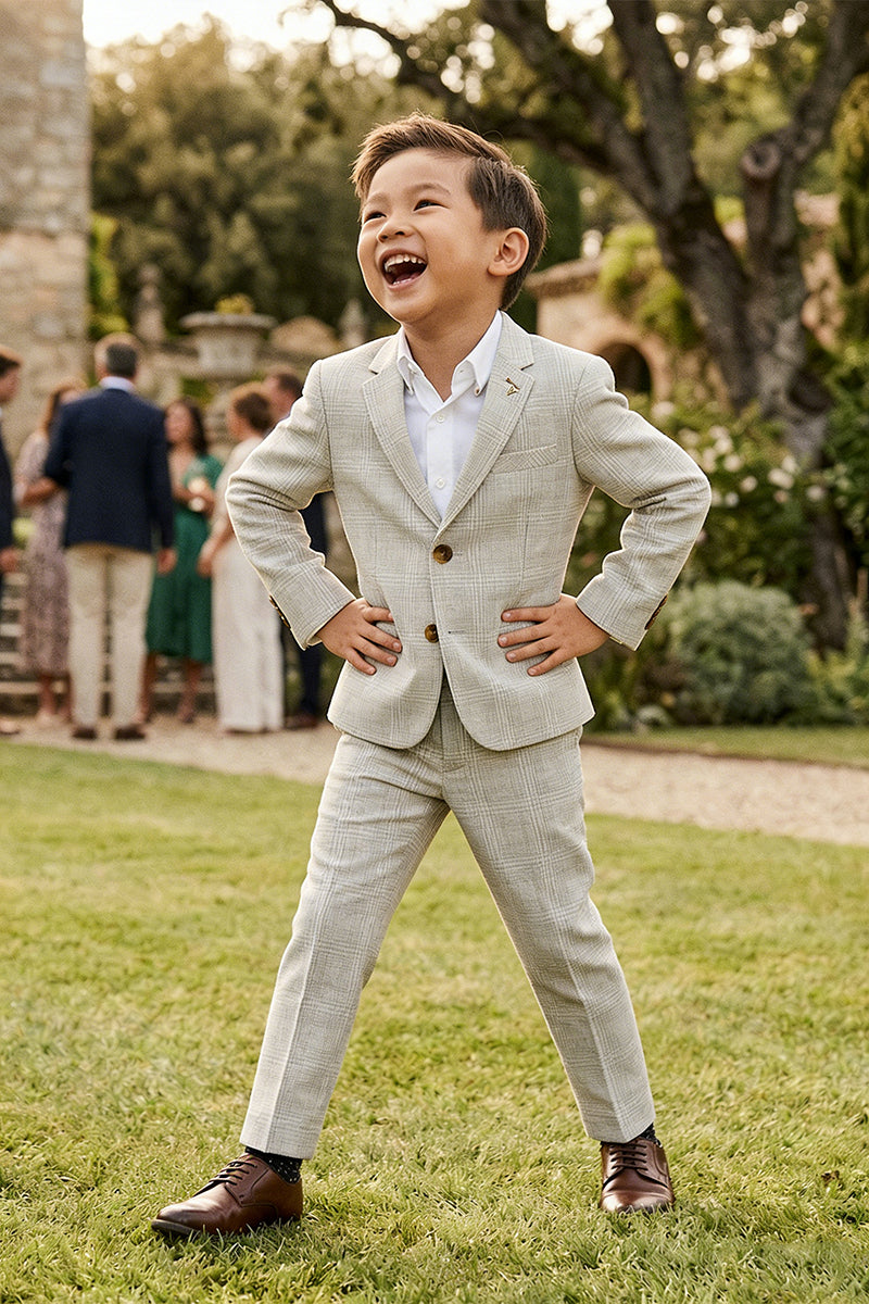 Boys Light Grey Check Single-breasted 2-piece Suits
