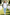 Boys White Shirt & Sky Blue Trousers 2-piece Set