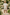 Off-White Striped Double-Breasted 2-Piece Set