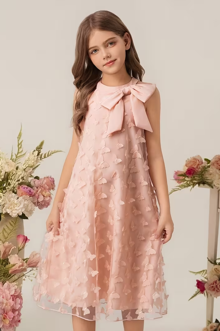 Pink Chiffon A-Line 3D Butterfly Dress