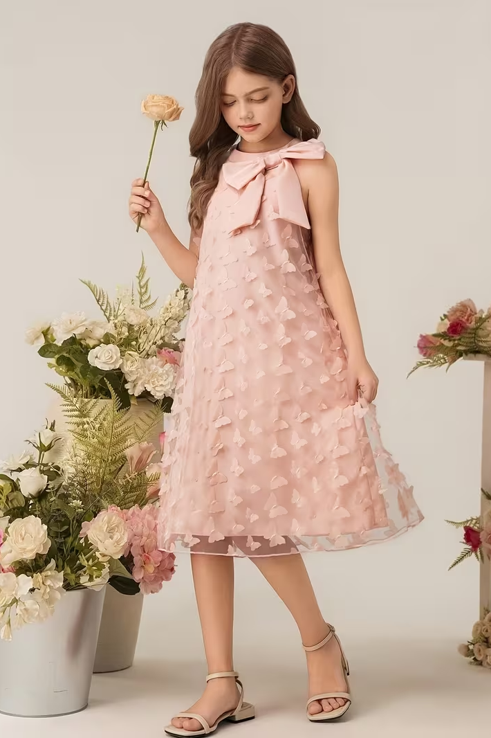 Pink Chiffon A-Line 3D Butterfly Dress