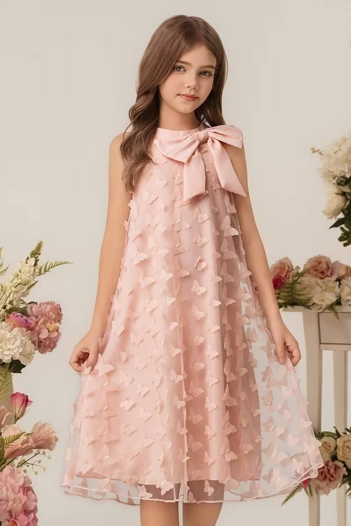 Pink Chiffon A-Line 3D Butterfly Dress