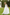 White Lace Chiffon A-Line Dress
