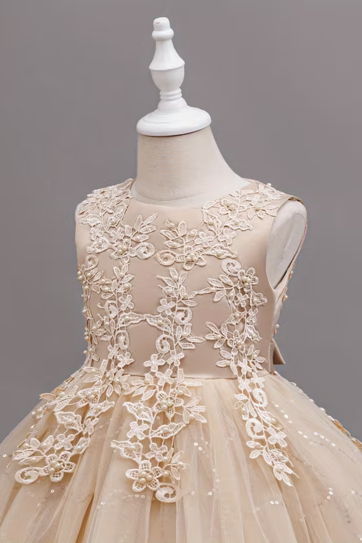 Apricot Round Neck Lace Sequined Dress