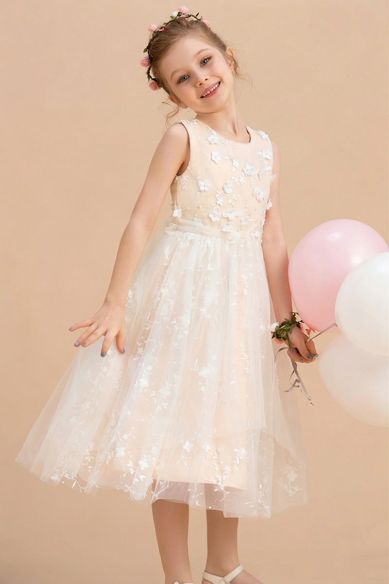 Girls Blush 3D Floral Tulle Flower Girl Dress
