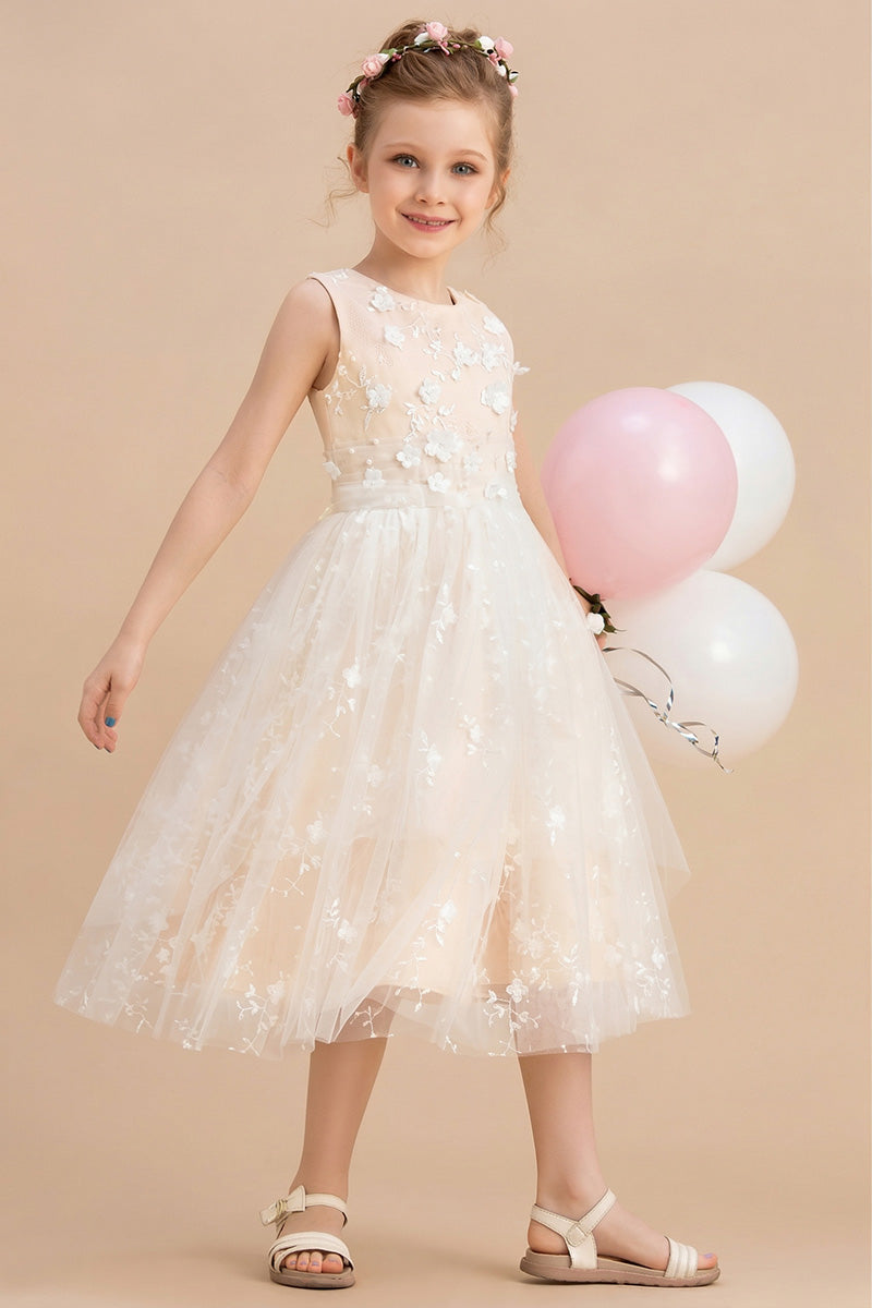 Girls Blush 3D Floral Tulle Flower Girl Dress