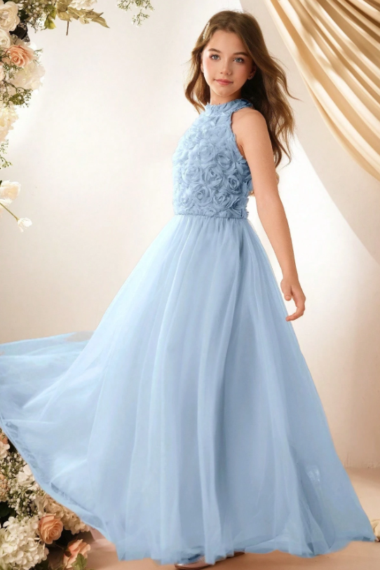 Chiffon Halter Neck Rose A-Line Dress
