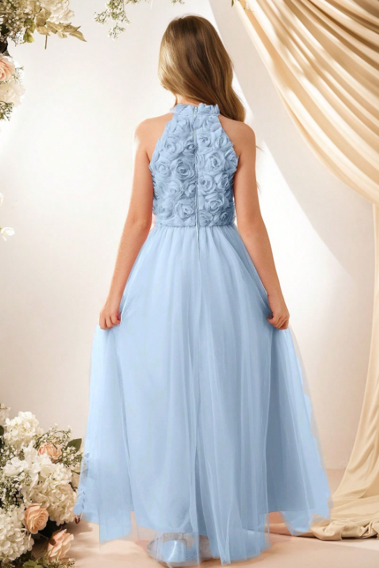 Chiffon Halter Neck Rose A-Line Dress