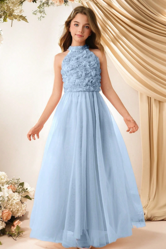 Chiffon Halter Neck Rose A-Line Dress