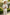 Off-White Cotton-Linen Blend Double-Breasted 2-Piece Suit
