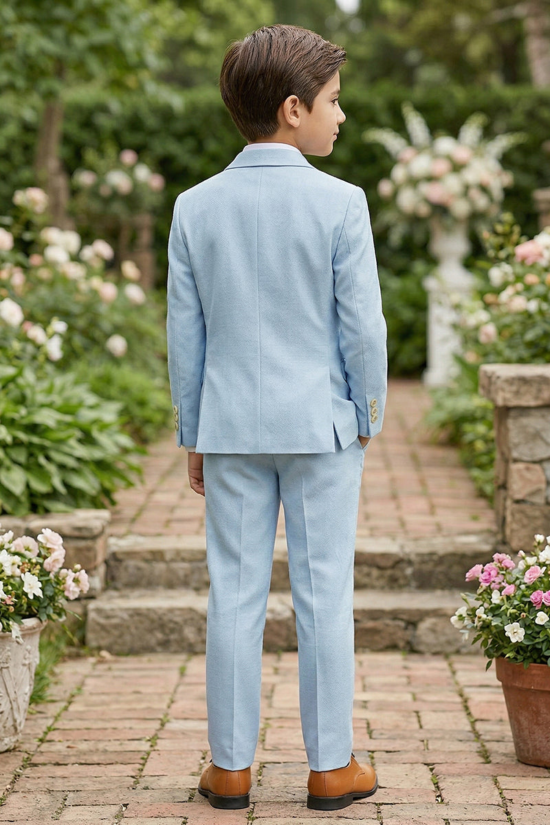 Boys Sky Blue Double-Breasted 2-piece Suit