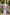 Purple And White Striped Single-Breasted 2-Piece Suit
