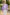 Purple And White Striped Single-Breasted 2-Piece Suit