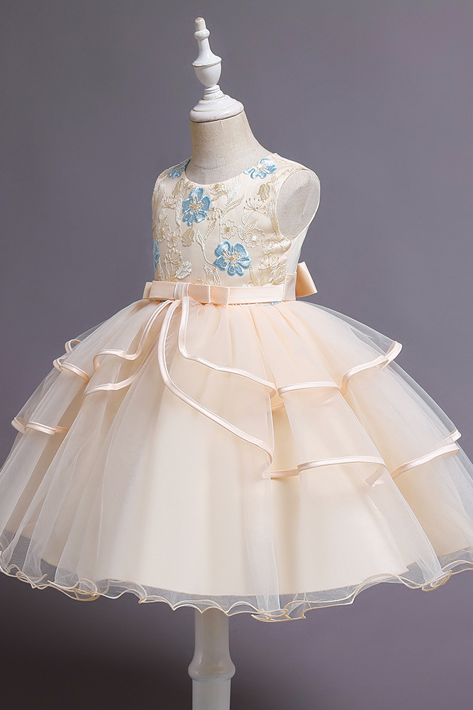 Apricot Satin Mesh Round Neck Embroidered A-line Dress