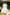 White Chiffon Pink Waist A-Line Dress