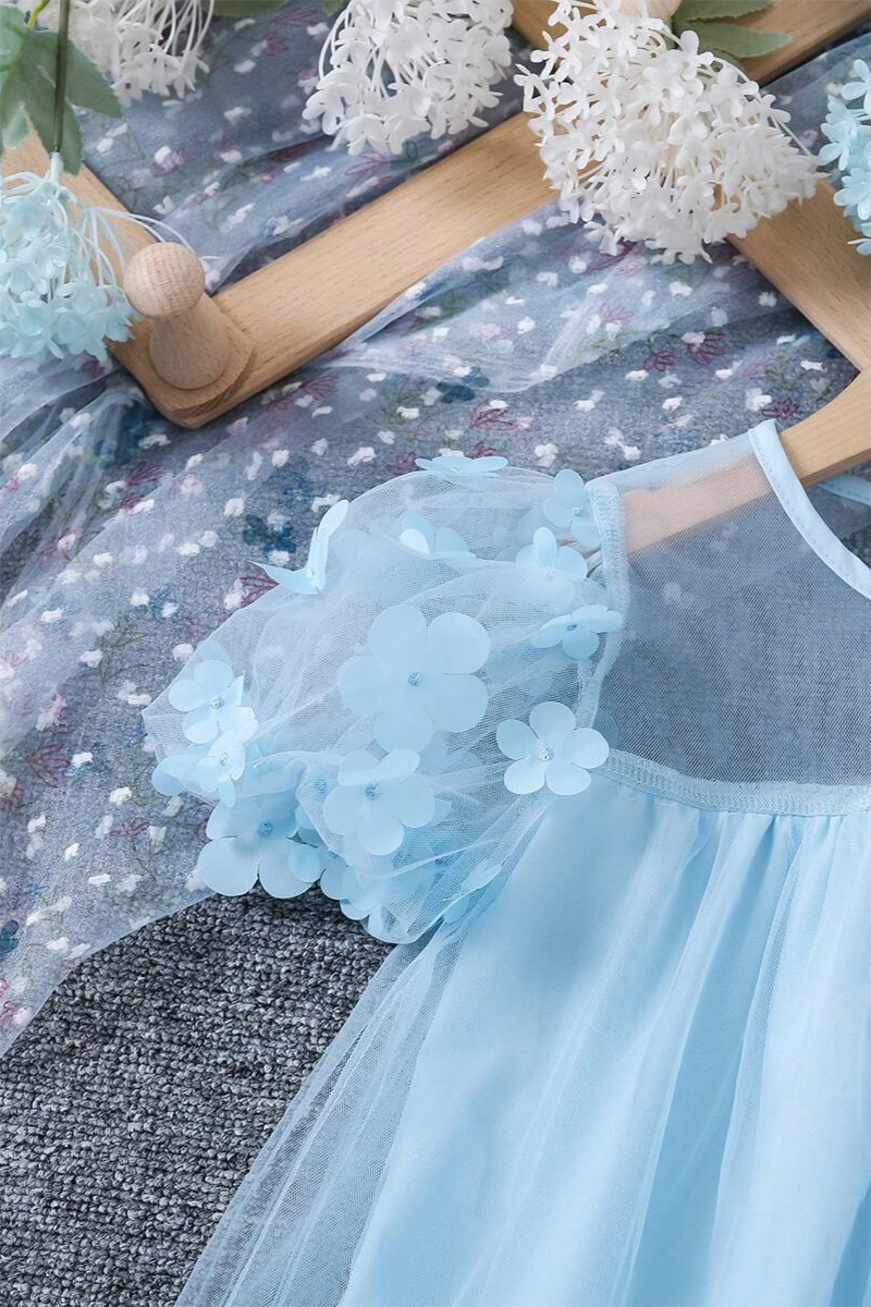 Girls Light Blue Tulle Flower Applique Dress