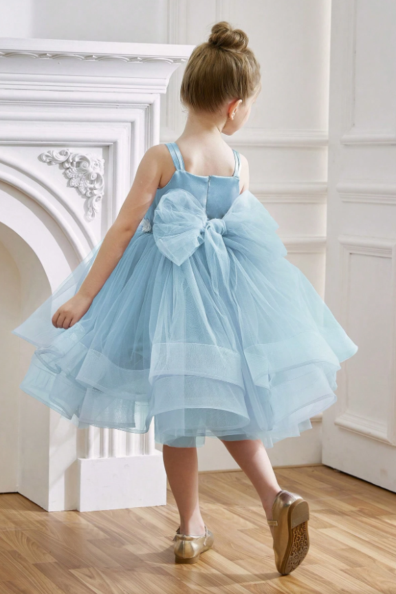 Light Blue Layered Tulle Florals & Back Bow A-Line Dress