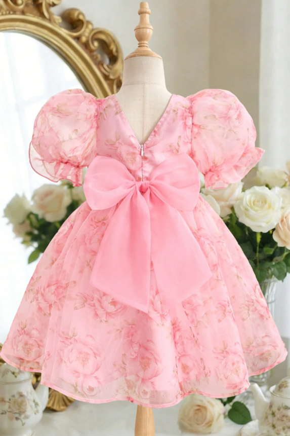 Light Pink Floral Print Chiffon Puff Sleeve Big Back Bow A-Line Dress