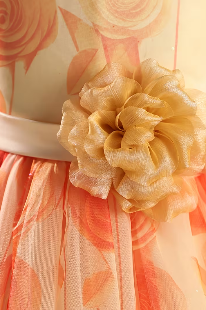 Orange Floral Printed 3D Waist Flower Round Neck Tulle A-Line Dress