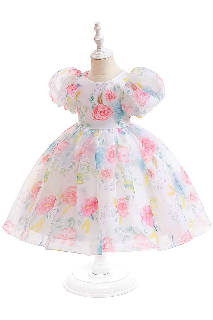 Cream White Chiffon Floral Print Puff Sleeve A-Line Dress