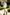 Cream & Khaki Serge Blend Single Breasted 2-Piece Formal Suit