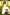 Champagne Sequin Spaghetti Strap Tulle Big Satin Back Bow A-Line Dress