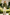 Olive Green & White Cotton Linen-Blend Single Breasted 2-Piece Suit