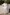 Boys Pure White Linen 2-Piece Suit for Summer Beach Wedding Formal Occasions