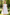 White Leaf Lace Satin Bow Tulle A-Line Communion Flower Girl Dress