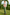Light Pink Sage Green Cotton Linen-Blend 2-Piece Waistcoat Suit