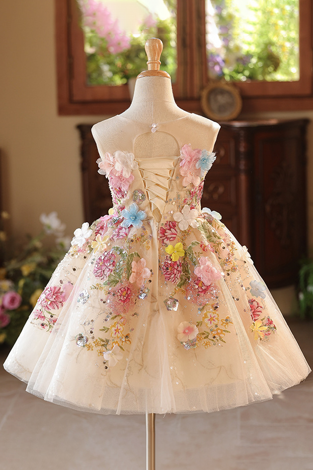 Apricot Handmade 3D Floral Embroidery Sequin Lace-Up Corset Flared A-Line Dress