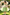 Mint Green Tulle 3D White Flower Satin Back Bow Flared A-Line Dress