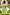 Mint Green Tulle 3D White Flower Satin Back Bow Flared A-Line Dress