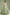 Sage Green Satin Tulle 3D Butterfly Appliques Flower Girl Dress