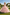 Pink Lace Embroidery Layered Tulle Wedding Princess Flower Girl Dress