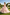 Pink Lace Embroidery Layered Tulle Wedding Princess Flower Girl Dress