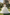 White Organza Rhinestone Waist Sash Tiered Cake Dress