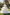 White Organza Rhinestone Waist Sash Tiered Cake Dress