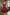 Burgundy Sleeveless Satin 3D Rose Applique A‑Line Formal Dress