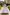 Lavender Off‑The‑Shoulder Lace Tulle Ball Dress
