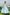 Blush Lace Tulle Long‑Sleeve A‑Line Communion Gown for Girls